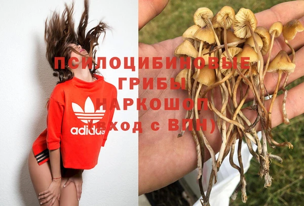 гидропоника Алзамай