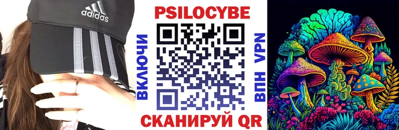 это наркотические препараты  Новомосковск  Галлюциногенные грибы Cubensis 
